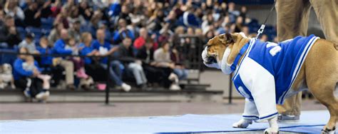 drake university beautiful bulldog contest|drake bulldog contest 2023.